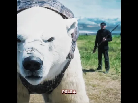 Este oso pensó que era una presa fácil, y entonces se transformó en un traje con forma de hueso.😱