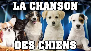 🐶 LA CHANSON DES CHIENS 🐶