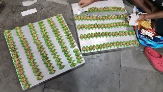 kaju pan blog video