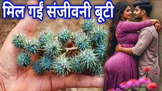 इसके आगे😱हीरे मोती भी पीके पड़ जाते हैं, मिल जाए तो छोड़े नहीं भाग्य बदल जाता है हो जाओगे धनी #Vastu