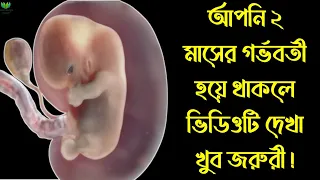 গর্ভাবস্থার ২য় মাসে কি কি ঘটে? || আপনি ২ মাসের গর্ভবতী হয়ে থাকলে ভিডিওটি অবশ্য দেখুন! খুব জরুরী!