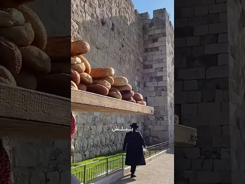 ٦ مارس ٢٠٢٦