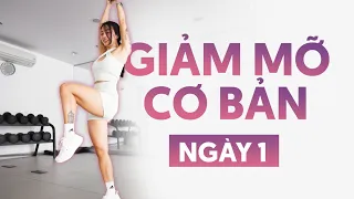 Cardio cơ bản | Beginner | Phù hợp với người đau gối, béo phì, sau sinh | Giảm mỡ cơ bản Ngày 1