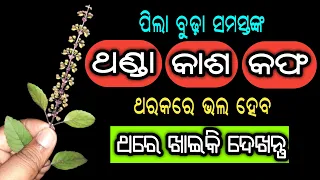 ପିଲା,ବୁଢା ସମସ୍ତଙ୍କ ଥଣ୍ଡା,କାଶ,କଫ ଥରକରେ ଭଲ ହେବ | Homemade Cough & Cold Natural Remedies in Odia