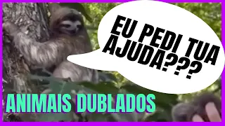 BICHO PREGUIÇA HUM1LHA HUMANA KKKKKK - GUTOTVREAL