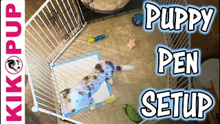 Puppy Pen Set Up - Professional Dog Training