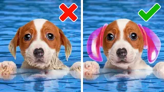 ACESSÓRIOS PERFEITOS QUE FACILITARÃO A VIDA DOS SEUS PETS