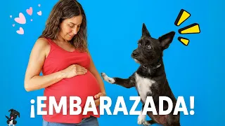🍼¡Mi Madre ESTÁ EMBARAZADA! 😱 Lana Alucina Pepinillos 😅