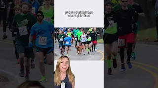 Dog accidentally runs half marathon, comes home with 7th place medal
