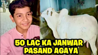 bhai ko 50 lac ka janwar pasand agaya | Mandi vlog 2026 | Lodhi Squad 