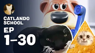 CATLANDO EP1-30 - Full Animated Cartoon Cat Movie Series! Banana Cat on a Fun & Sad Cat Adventure!