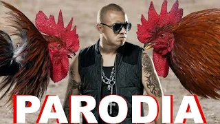 Así es como Wisin alimenta a sus gallos