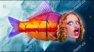 🐟 éOLIEN EN MER & BIODIVERSITé : mariage (mal)heureux ? 🐠 ft  @lereveilleur  & @monsieurbidouille