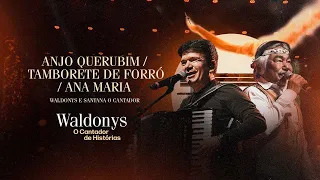 MEDLEY FORRÓS - Waldonys e @SantannaoCantadoroficial (DVD Waldonys, o Cantador de Histórias)