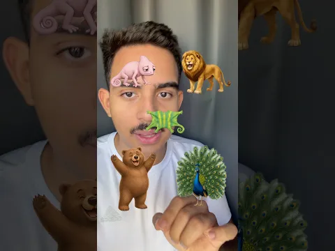 DE QUEM SÃO ESSAS PELES???