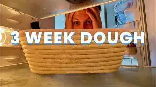 I forgot my Sourdough in the Fridge for 3 Weeks and then this happened