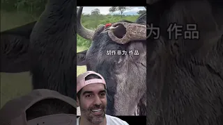 Será possível PICA-PAU fazer seu ninho NO CHIFRE DO GNU? Pidobiologia