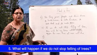 Plant a Tree  - Question and Answers | 6th Class English Lessons