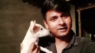छोटे उस्ताद मुझे कुछ कह रहा है// 🤔Dilkhush rock//vlog_62