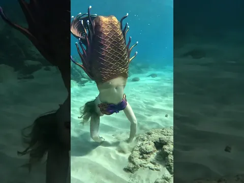 Mermaid tries to lure me #shorts