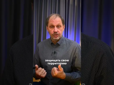 Встреча Путина с военкорами / #набутов #путин #shorts