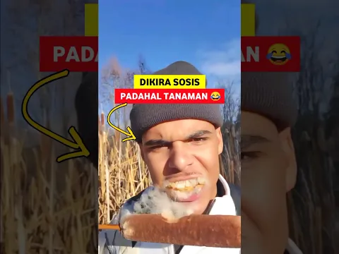 Tanaman Mirip Seperti Sosis