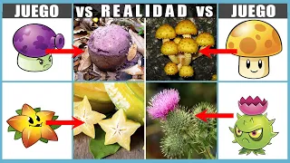 Las Plantas de Plants vs Zombies en la VIDA REAL (Juego Vs Realidad) - Android - iOS | N Deluxe