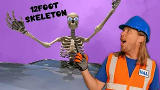Handyman Hal Halloween | Halloween Fun 12 foot Skeleton | Handyman Hal Fun Videos for Kids