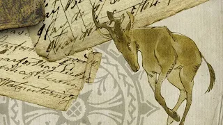 Yaelokre - Hartebeest 𓆱 (Lyrics)