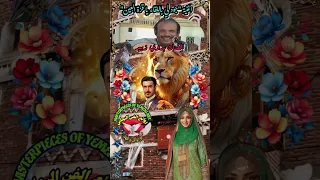 جوهرة 💎 الطرب الفنان بدوي زبير أغنية "جود لي باللقاء يا قرة العين" كلمات الشاعر حسين أبوبكر المحضار 