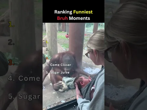 Ranking Funniest Bruh Moments