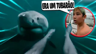 UM TUBARÃO EM BALNEÁRIO CAMBORIÚ