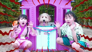犬たちが消えた！早く探しに行こう！ - はねまりチャンネル