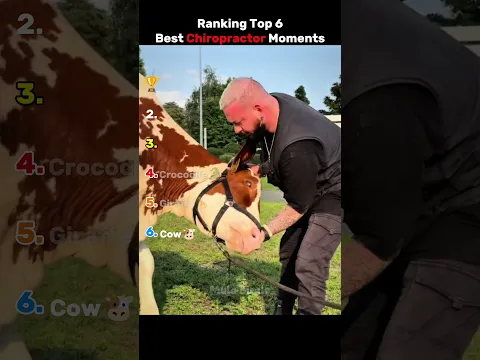 Ranking Top 6 Crazy Chiropractor Moments 💀