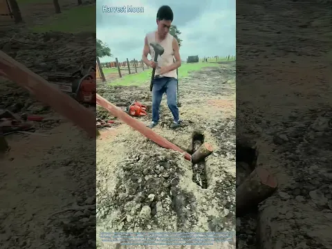 Montage von Zaunpfosten! Zapfen- und Nutverbindungen sowie Bodenverankerungstechniken