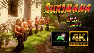 SURIMANA - "Cholita Fiestera"  (Salay)