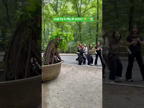 जादुई पेड़ या चिंटू की शरारत? 😂🌳👻