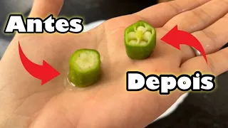 ESSA VOCÊ NÃO SABE, ATÉ EU FIQUEI IMPRESSIONADA!