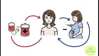 Mẹ nhóm máu RH âm - tổng quan miễn dịch RH trong thai kì