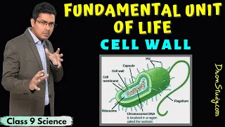 Cell Wall | Function of Cell Wall | Fundamental Unit of Life | Class 9 Science | CBSE | NCERT