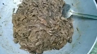 မှိုဆီကြော် ( mushrooms )