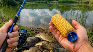 70-Year-Old Fishermen Are Secretive About This! Corn Bait.