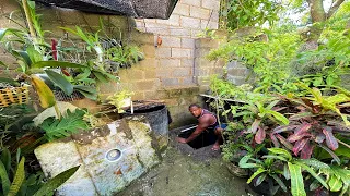 en este hoyo del criadero hay unos peces grandes