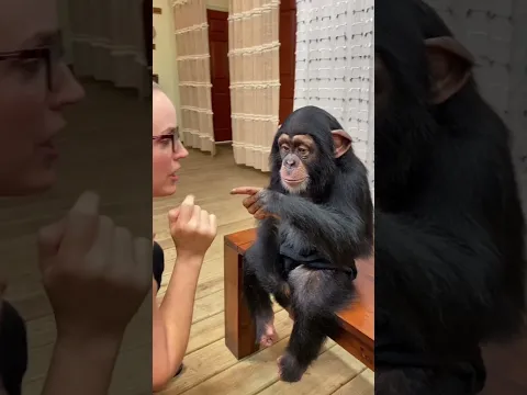 monke love