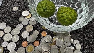 Let's see together, can I place a coin on the orange that is floating in that glass as well?