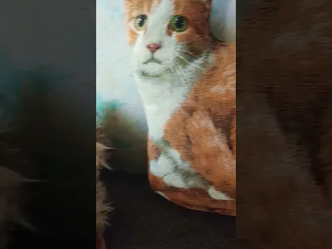 Стой,не пролистывай!🤣