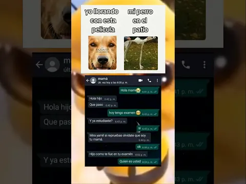 Memes random xd