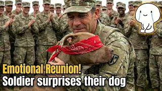 🐶😭 Watch these pups lose their minds when Mom and Dad return from deployment!