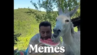 MEMES QUE TE HARÁN SONREIR :)