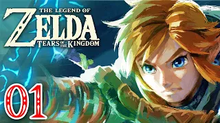 Zelda Tears of the Kingdom #01 | L'aventure recommence !